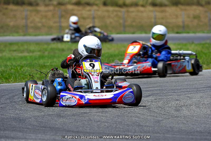 DSC_ (1467).jpg